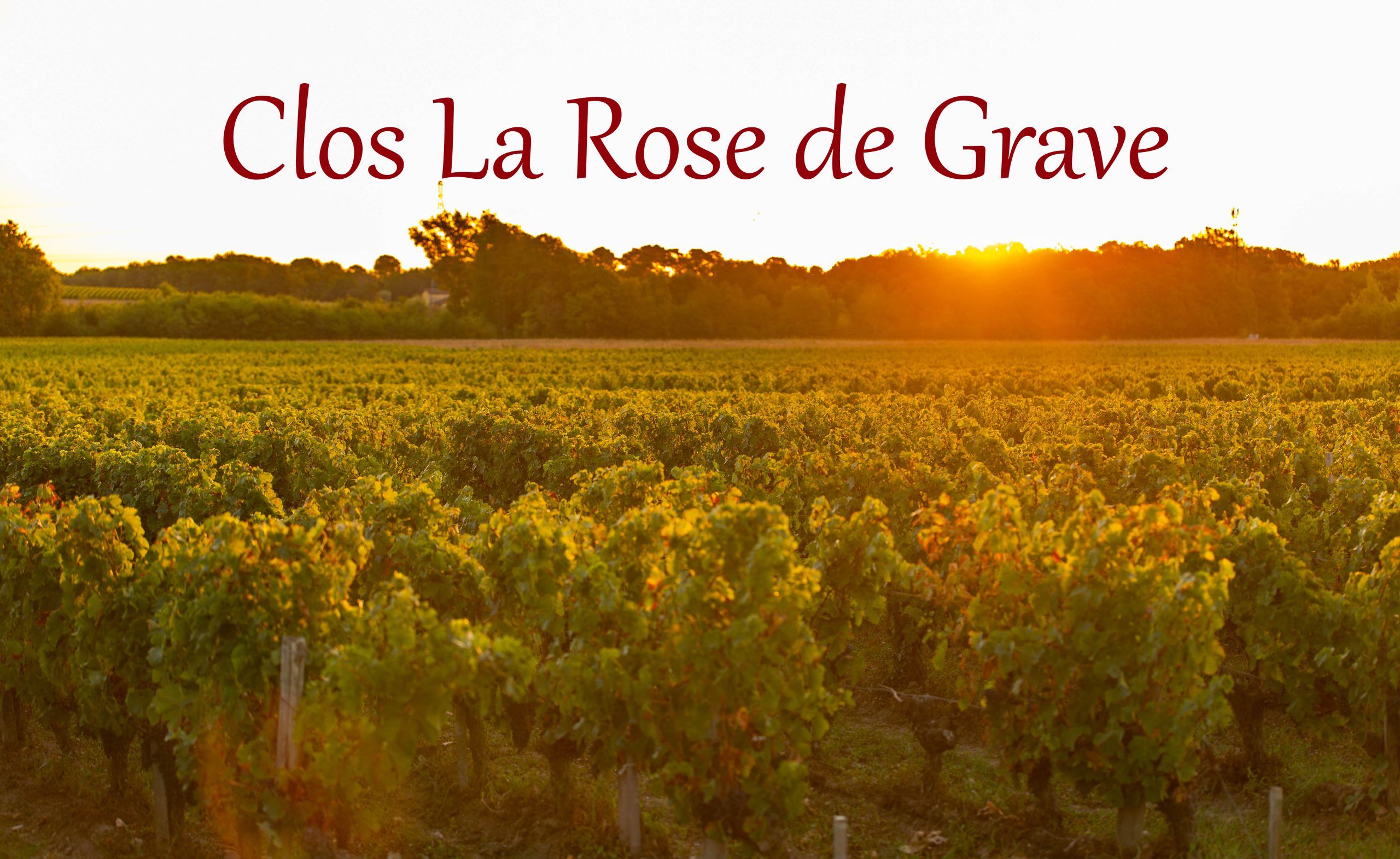 Clos la Rose de Grave - Moulis-en-Médoc