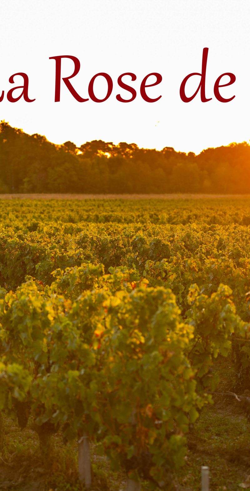 Clos La Rose de Grave
