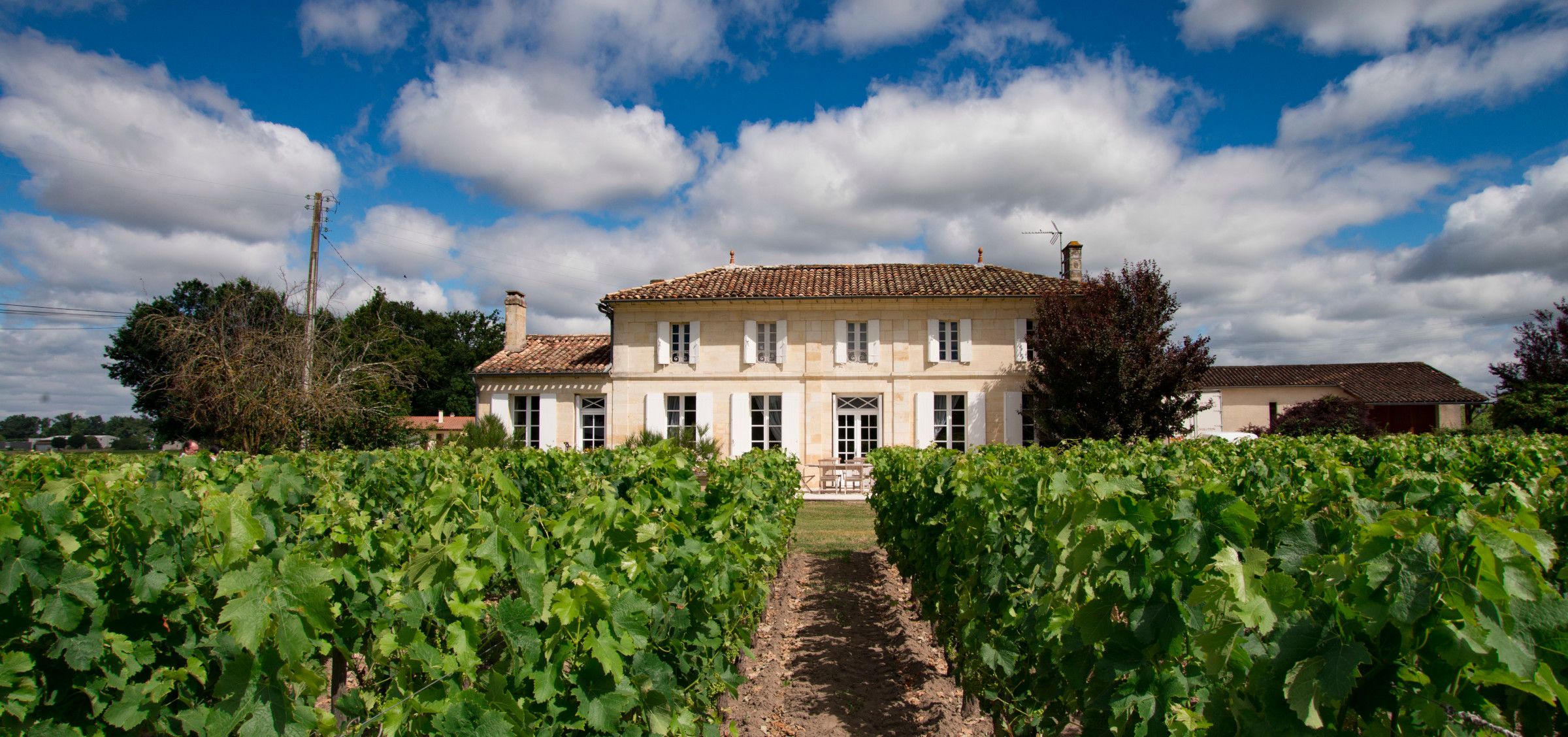 Château Patris — photo 5
