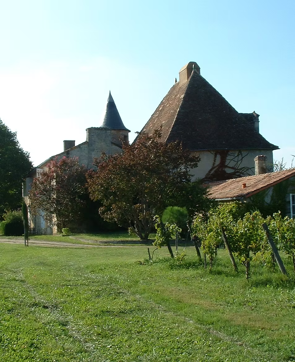 Decors_ChateauEtJeuneVigne.JPG