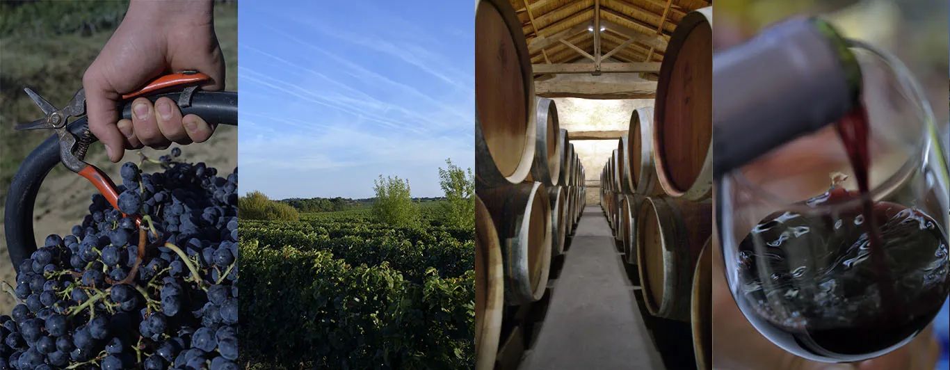 Château Suau (Barsac) — photo 4