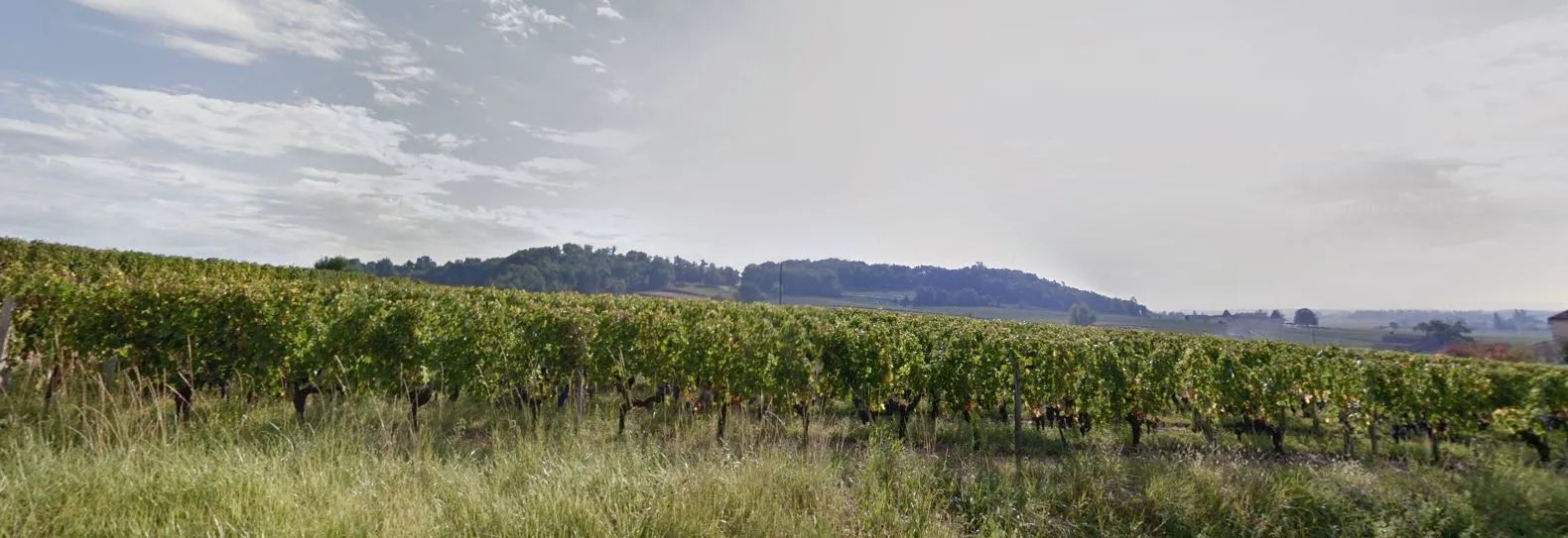 Clos des Baies — photo 1