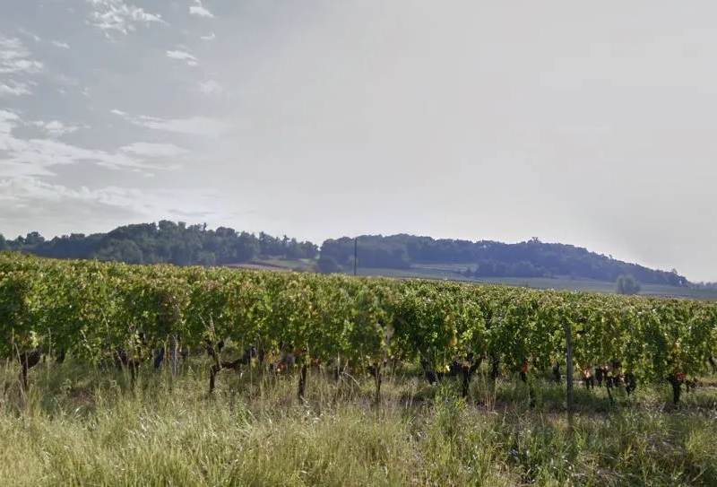 Clos des Baies — photo principale