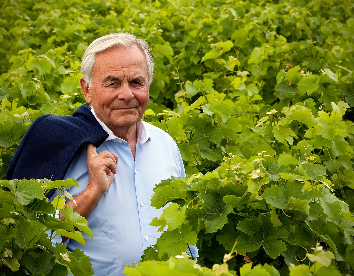 Bernard-Magrez-vignes.jpg