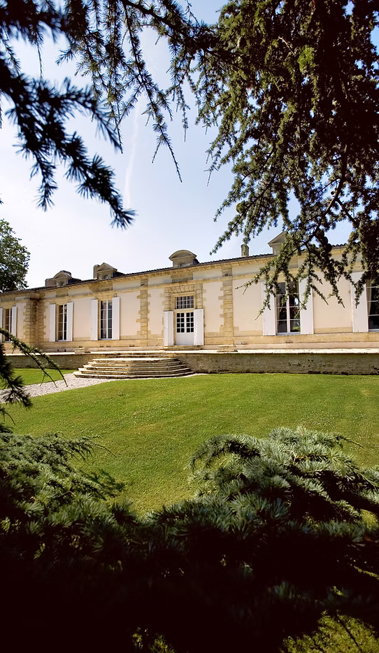 Château Fombrauge - terasse.jpg