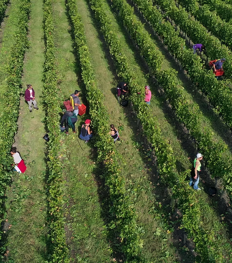 DJI_0016.JPG