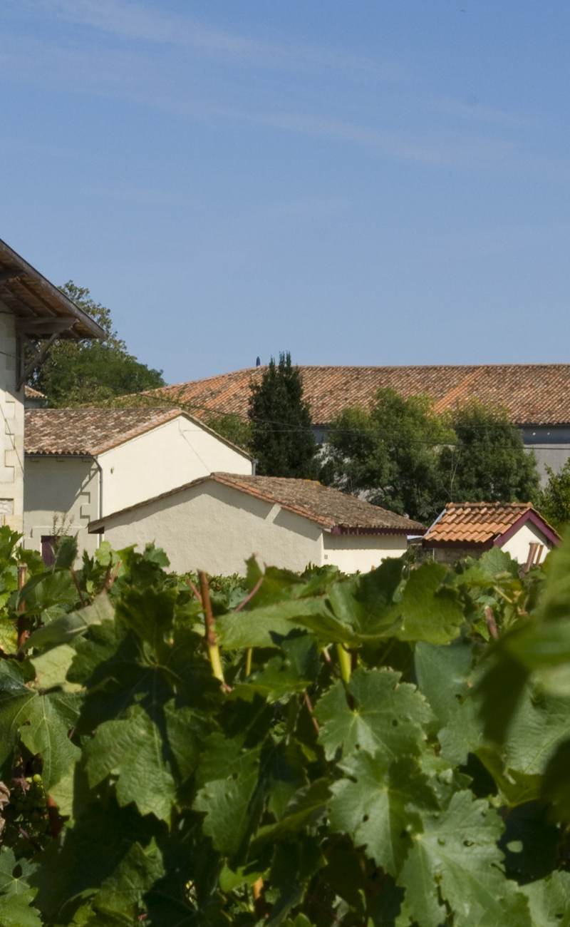 Château Tour St Joseph — photo principale