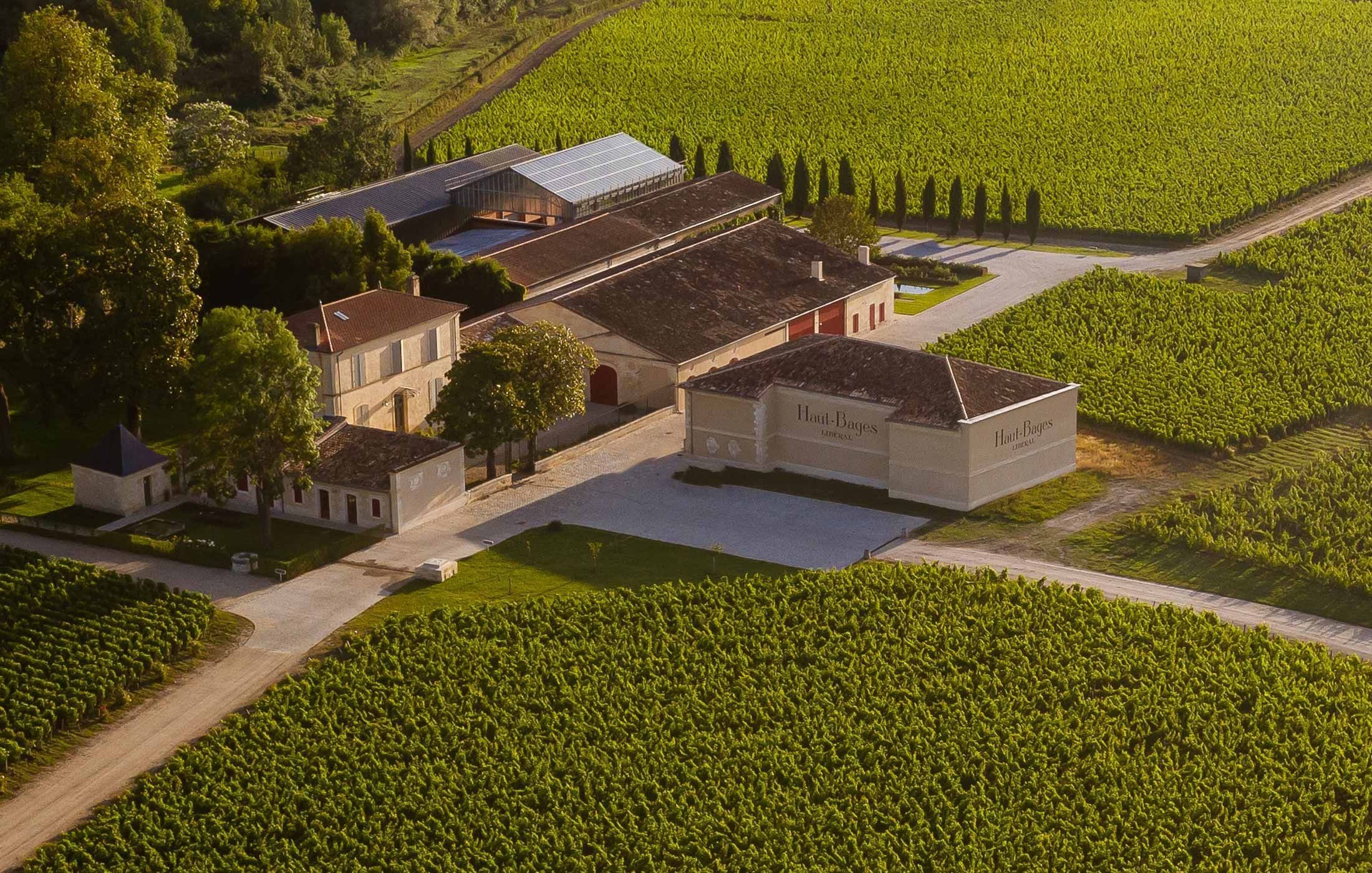 Château Haut-Bages Libéral - Pauillac