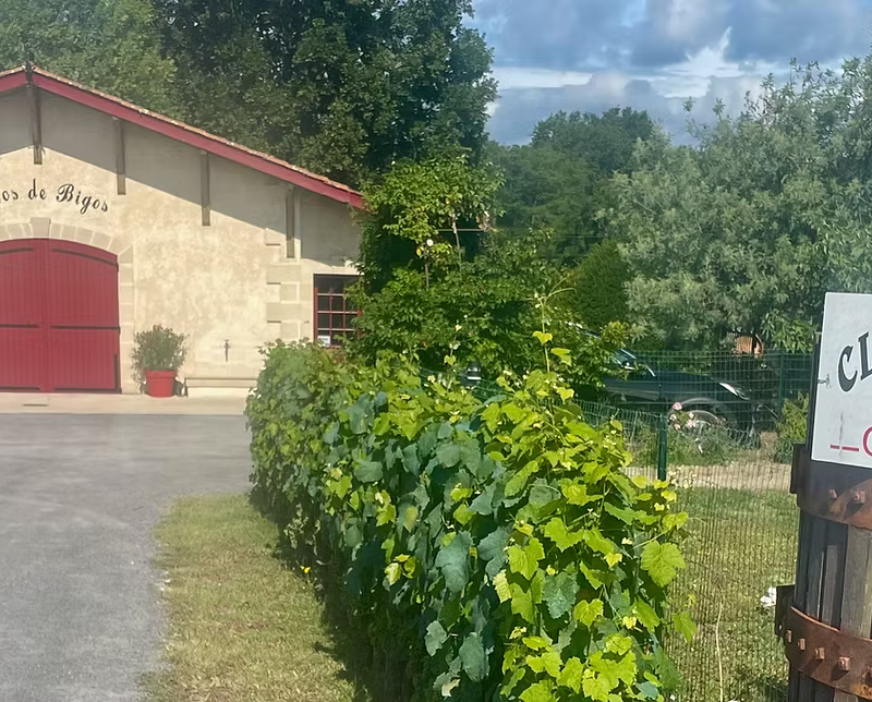 Clos de Bigos - Margaux