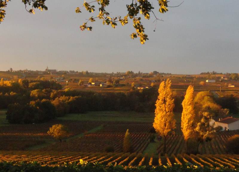 Château Belair Saint-Georges - Saint-Georges-Saint-Émilion
