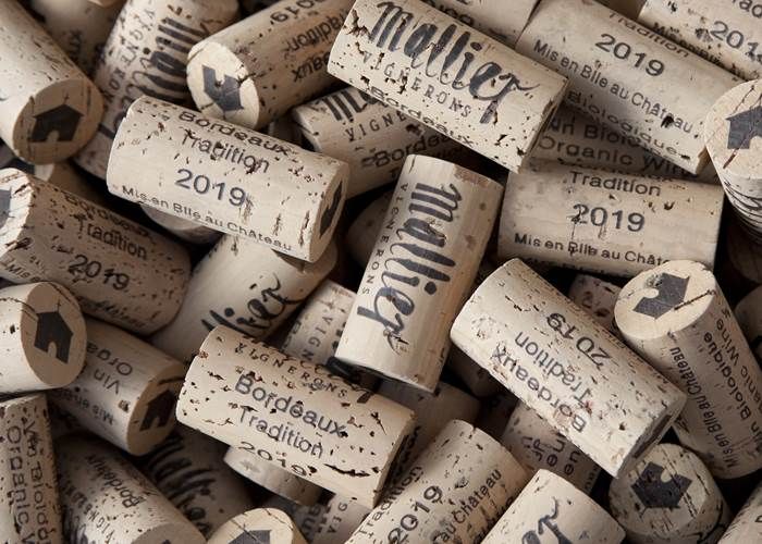 Vignoble, Bio, Biodynamie, Nature, Vins, Domaine, Visite, Dégustation