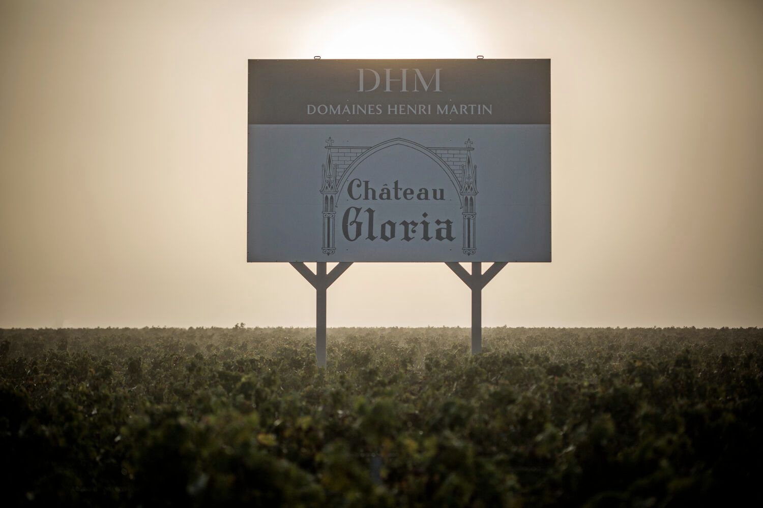 Château Gloria — photo 4