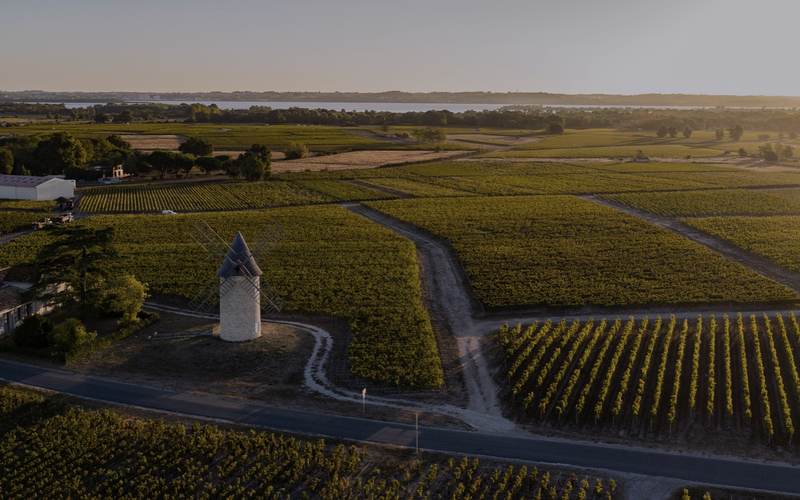 Château Arnauld - Haut-Médoc