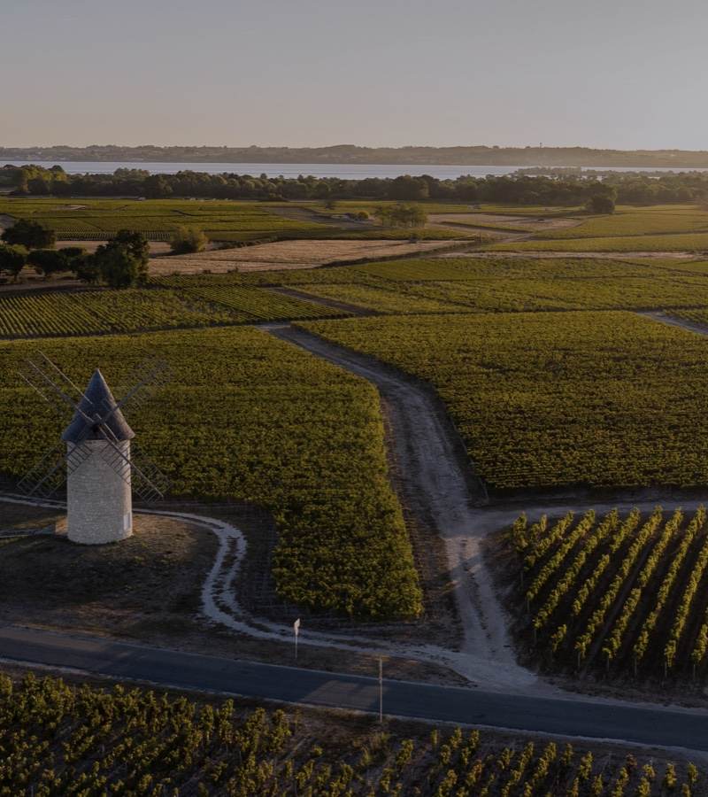Château Arnauld - Haut-Médoc