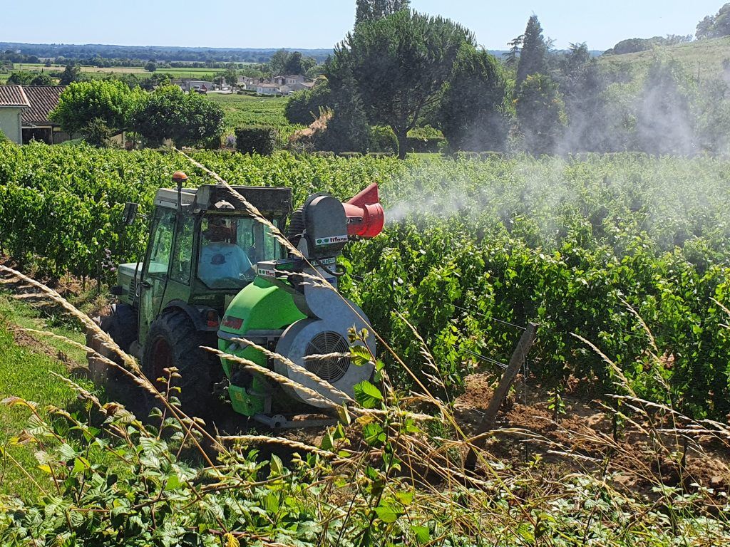 Domaine Jean Yves Millaire — photo 4