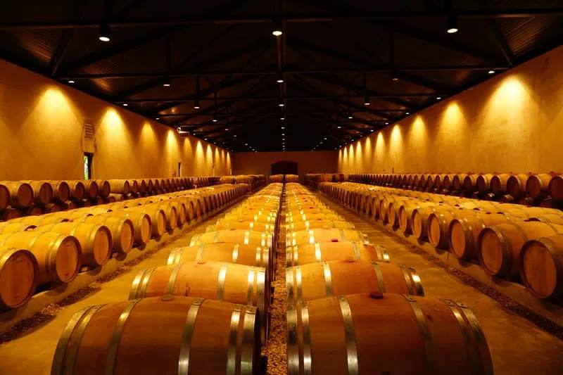 Château Lamothe-Cissac - Haut-Médoc
