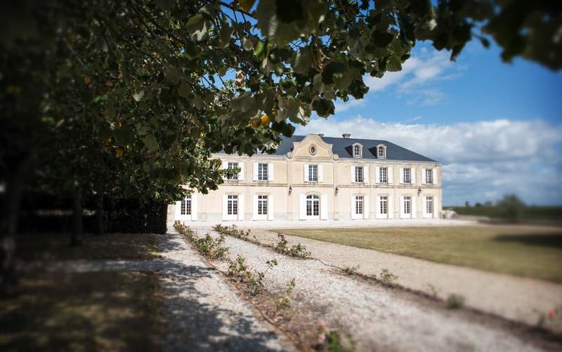 Château Beau Site - Saint-Estèphe