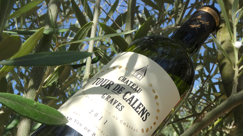 Château Tour de Calens — photo principale
