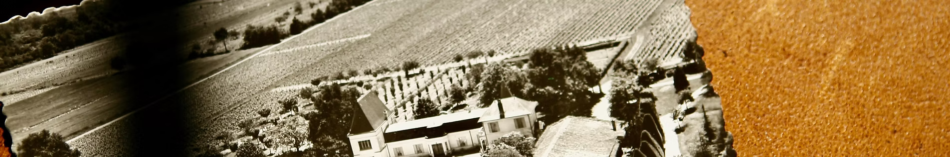 LaFaviere_00 (1)