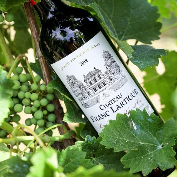 Château Franc Lartigue — photo 1
