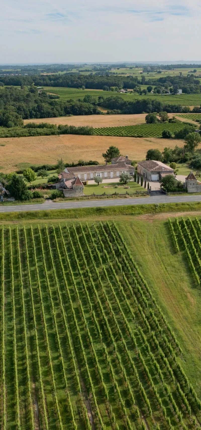 Château de Beauregard-Ducourt - Famille Ducourt