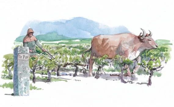 Introduction de la traction animale