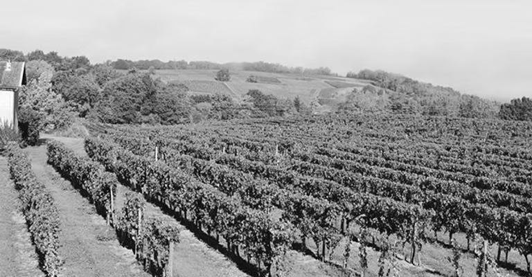 Château Haut-Garriga — photo principale