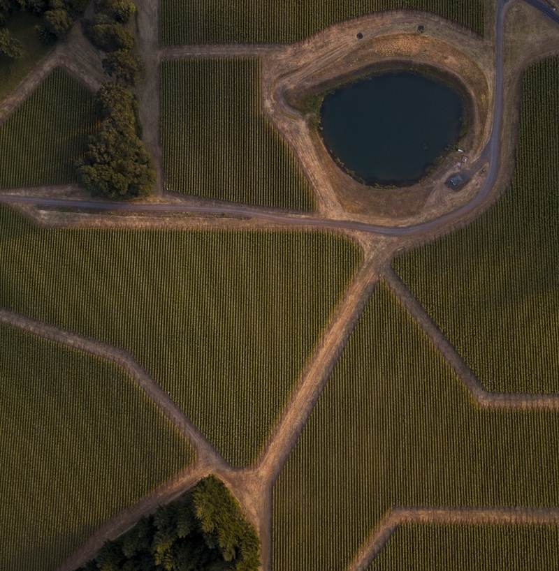Château Trimoulet — photo principale