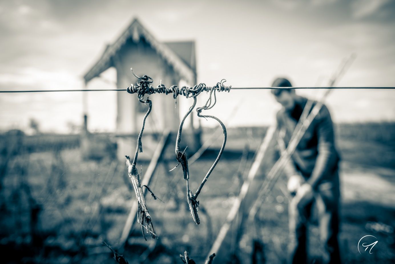 Clos du Notaire — photo 1
