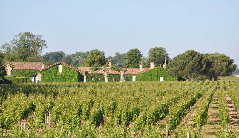 Château Broustet - Barsac