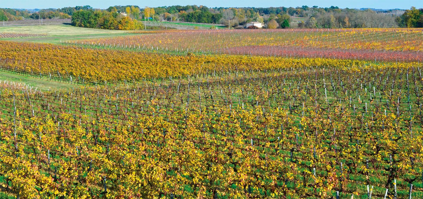 Temps du partage Château