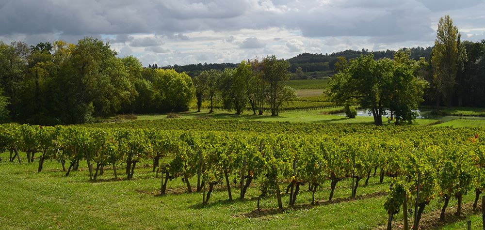 Château Haut Gaussens — photo 5