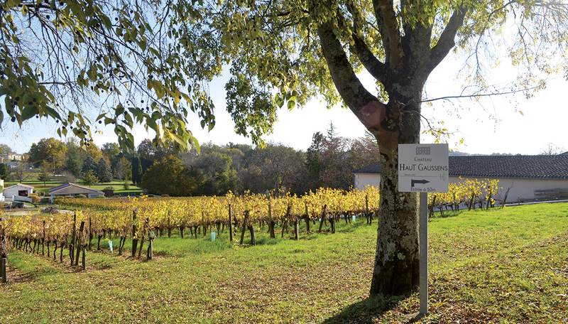 Château Haut Gaussens - Bordeaux