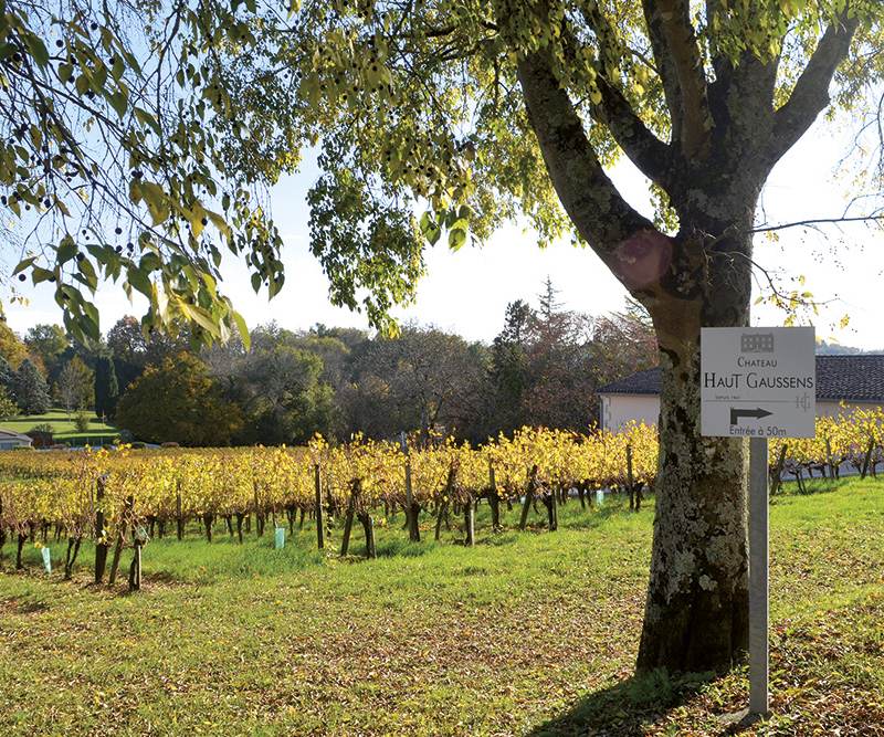 Château Haut Gaussens — photo principale