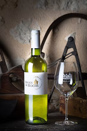 22 DomainedelaGrave_VignoblesRocheTeycheney_SourcedeRocheBlanc_Vin-web.JPG