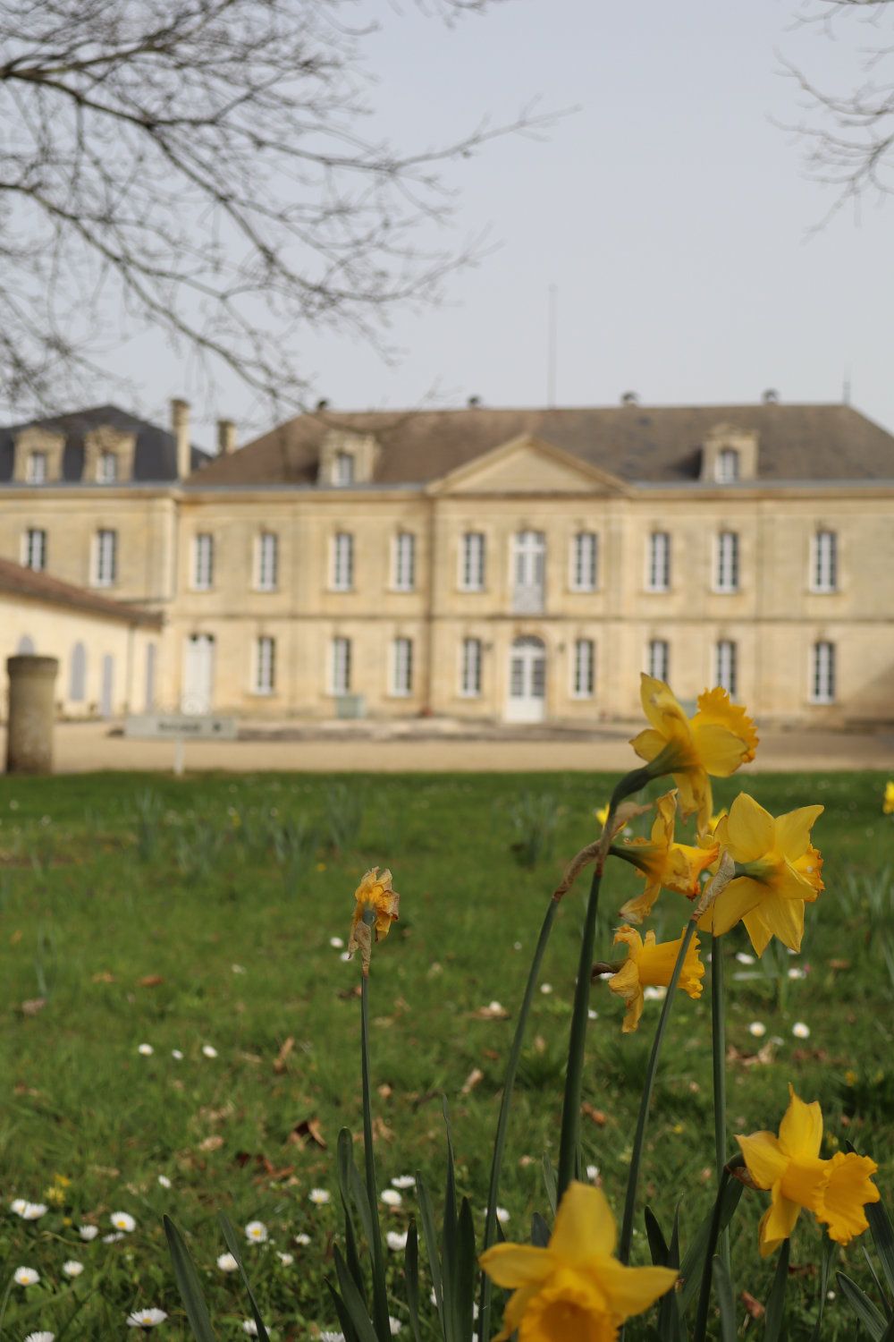 Château Soutard