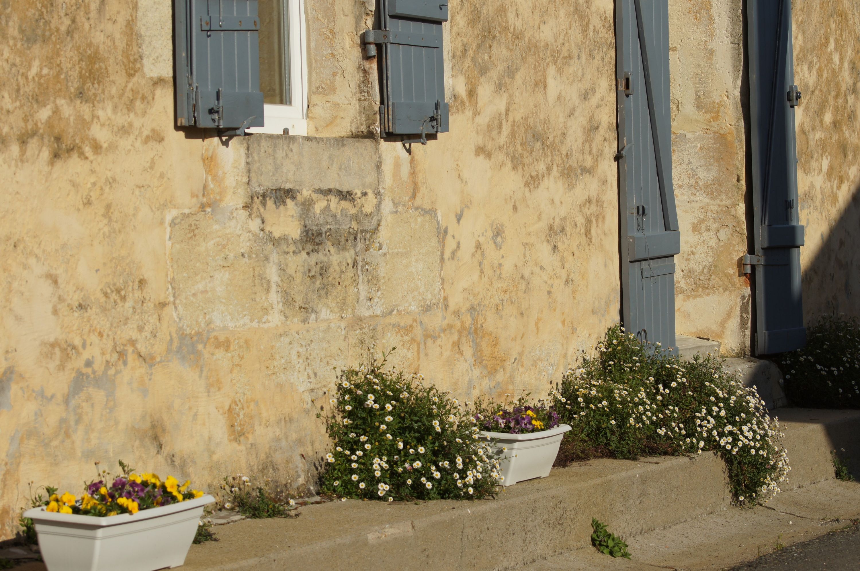 Château Vieille Tour — photo 2