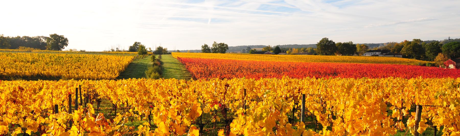 Château des Chapelains - Sainte-Foy Côtes de Bordeaux