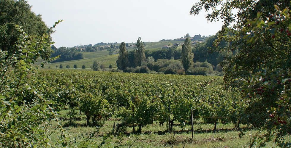 Château du Grand Plantier - Bordeaux
