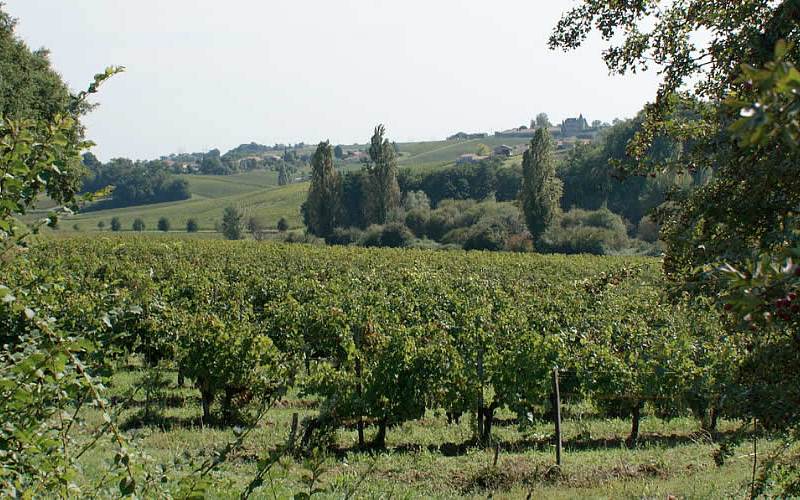 Château du Grand Plantier