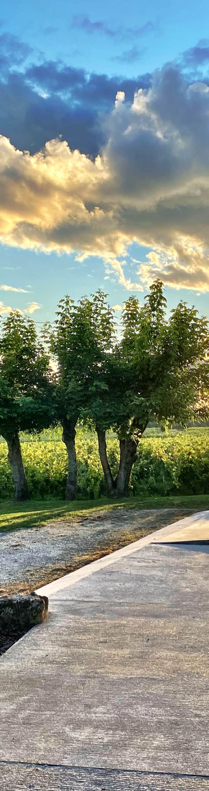 Clos de la Barbanne — photo principale