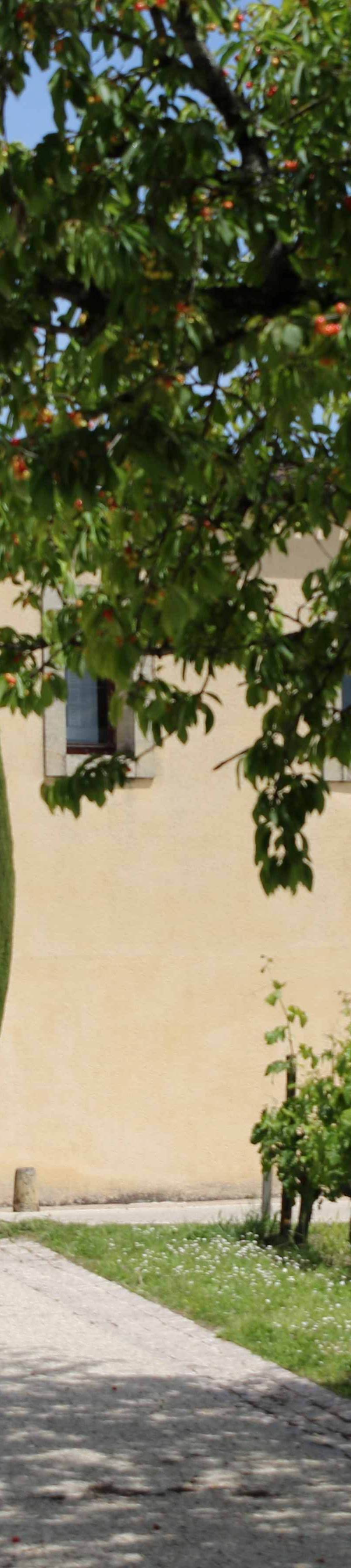 Château Moulin du Cadet - Saint-Émilion