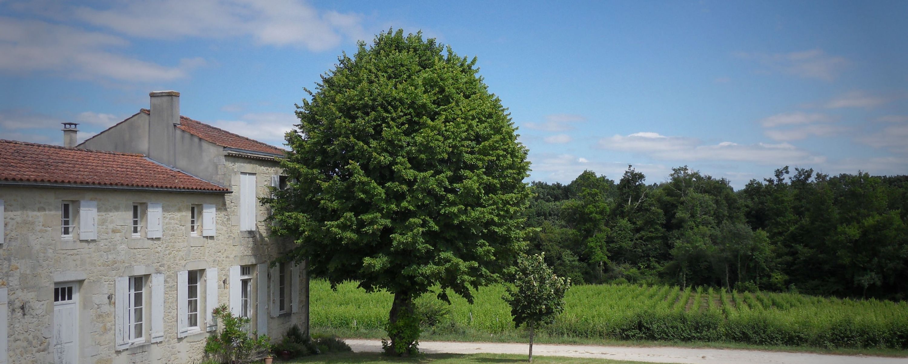 Château Puy Castéra — photo 1