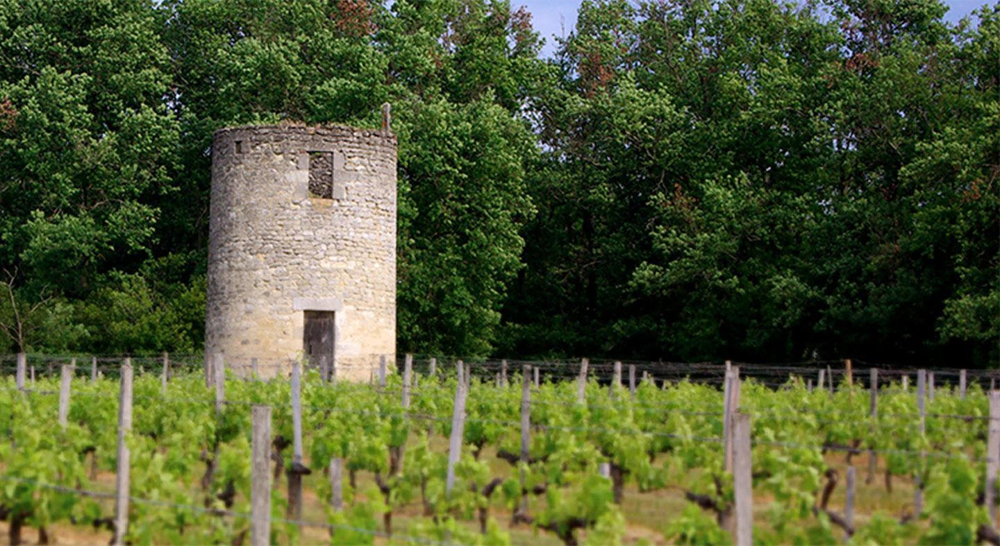Château Tour des Graves - Côtes de Bourg