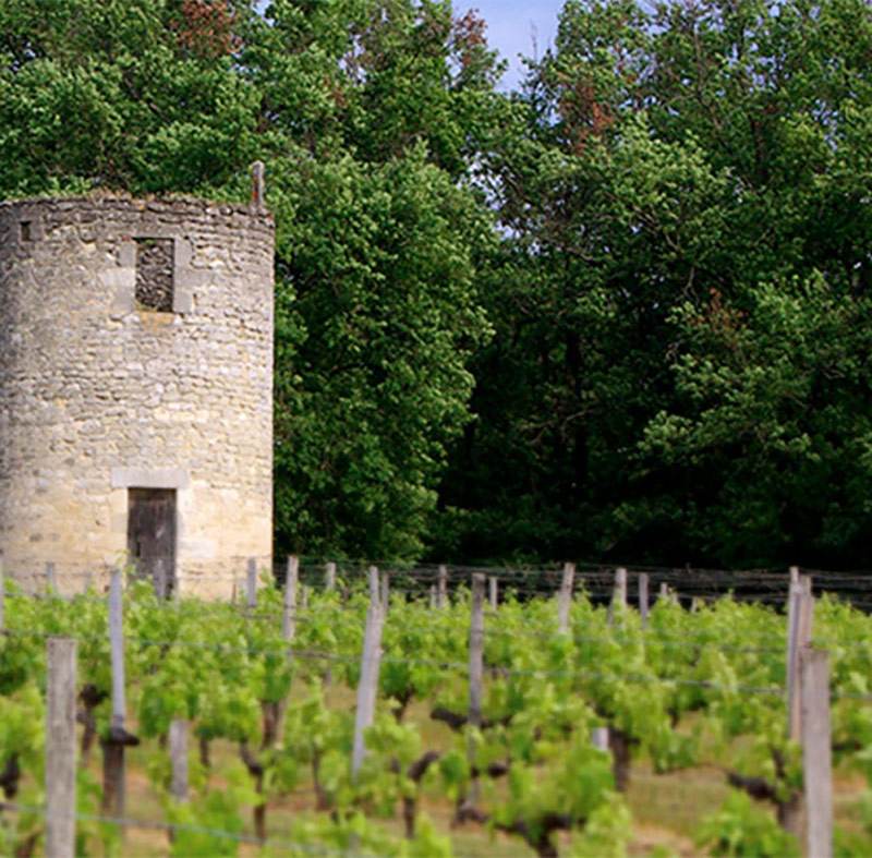 Château Tour des Graves — photo principale