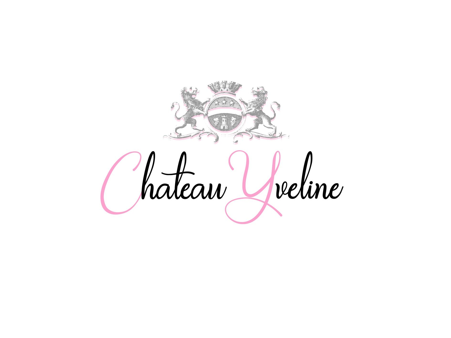 Château Yveline — photo 2