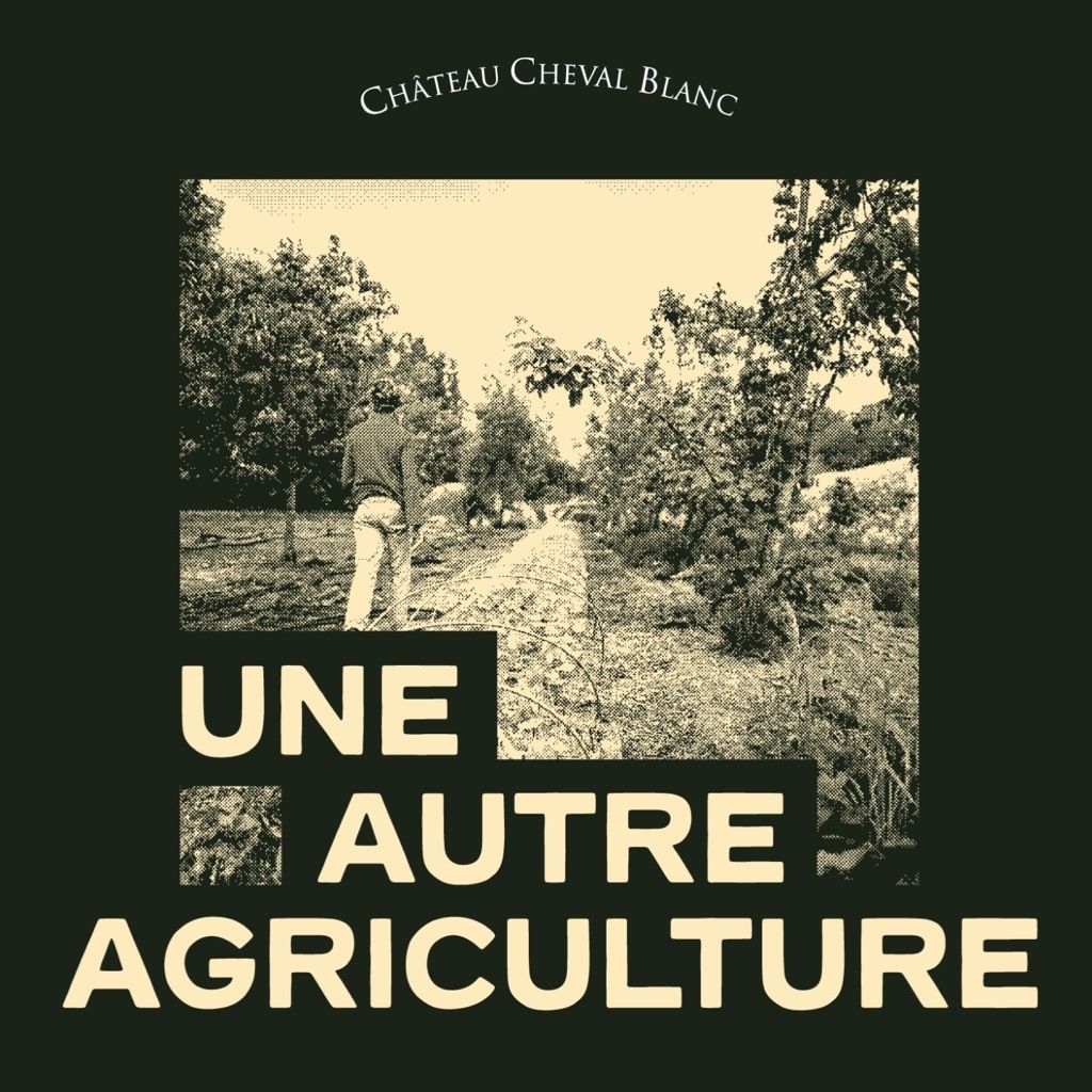 Château Cheval Blanc — photo 4