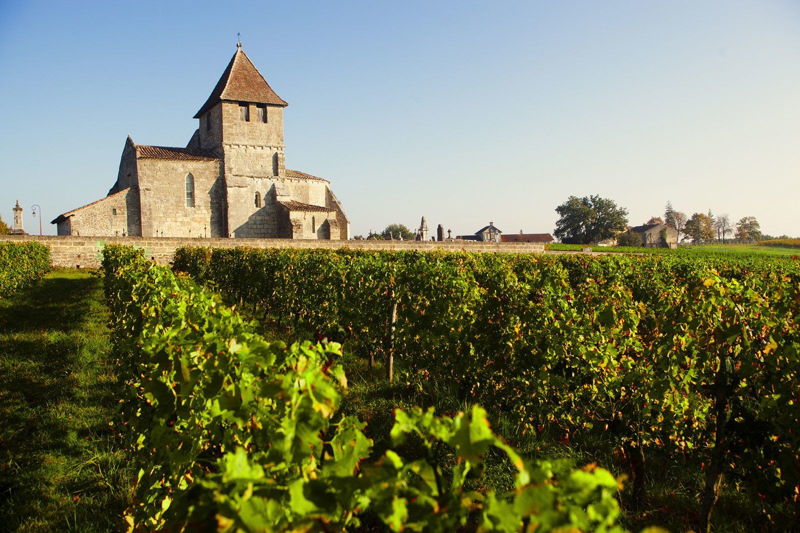 Château Lubiato - Castillon Côtes de Bordeaux