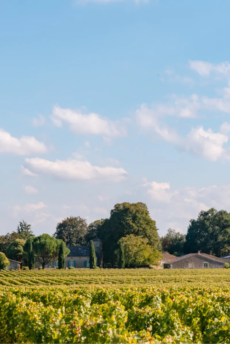 Château Doisy-Védrines — photo principale