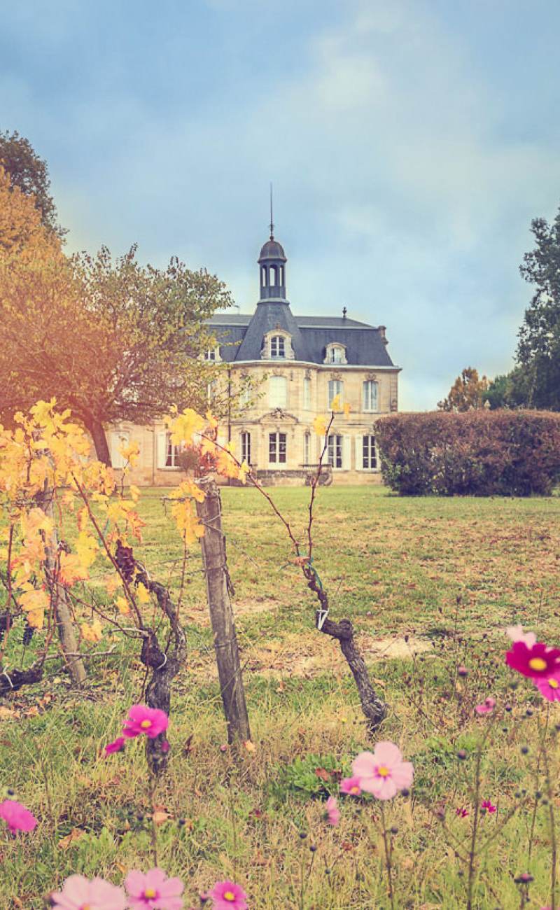 Château Fonréaud — photo principale